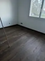 3049932682571880240